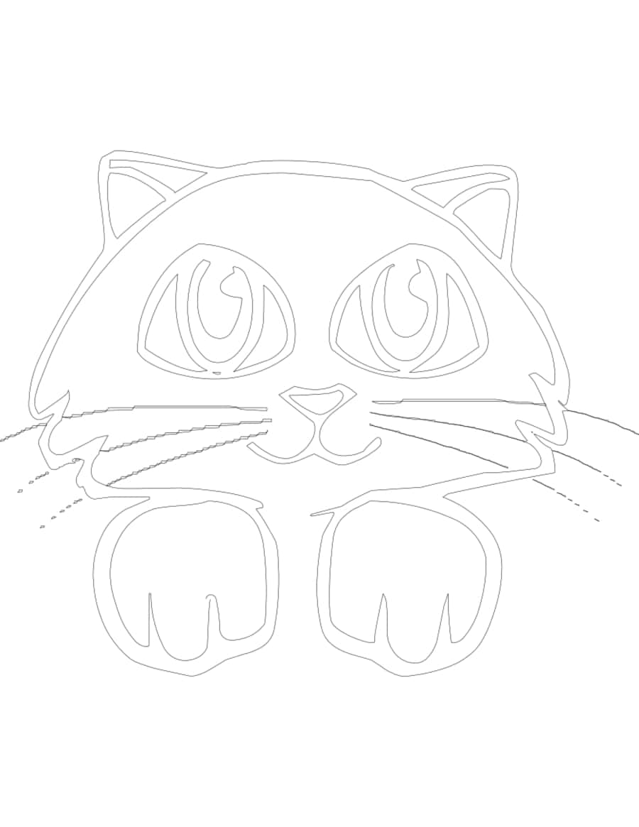 Gato Cat Kid Tracing Shape Pdf Free Vectors